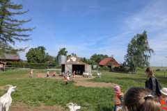 PXL_20260616_080550091