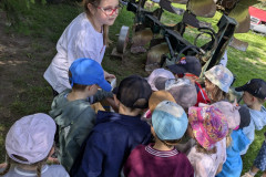 PXL_20260616_084640678