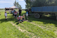 PXL_20260616_085651919