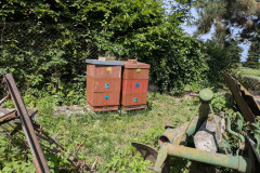 PXL_20260616_090153192