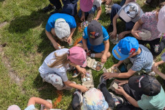 PXL_20260616_093134324