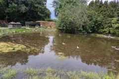 PXL_20260616_093451199