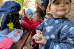 IMG-20250513-WA0022