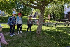 PXL_20250513_082131881