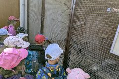 PXL_20250513_083229716