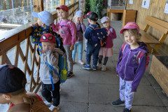 PXL_20250513_083640458