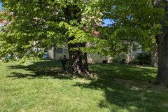 PXL_20250513_092617743