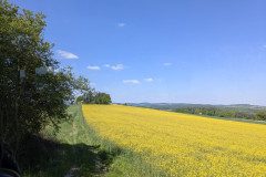 PXL_20250513_095338336