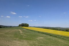 PXL_20250513_095340593