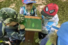 PXL_20250513_101026673