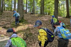 PXL_20250513_101716540
