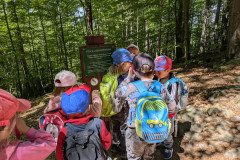 PXL_20250513_102449340