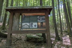 PXL_20250513_102933464