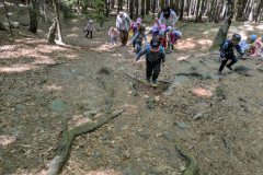PXL_20250513_103038961