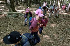 PXL_20250513_103131427