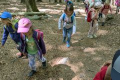 PXL_20250513_103134893