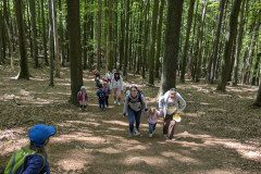 PXL_20250513_103531588