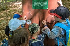 PXL_20250513_104024170