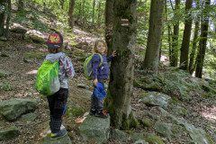 PXL_20250513_104134708