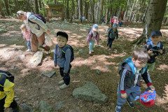 PXL_20250513_104141508