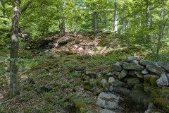 PXL_20250513_104241996