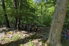 PXL_20250513_104256634