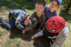 PXL_20250513_113049231