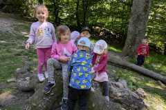 PXL_20250513_113100536
