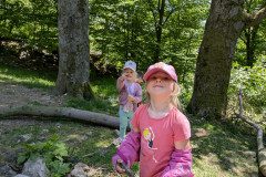 PXL_20250513_113105845