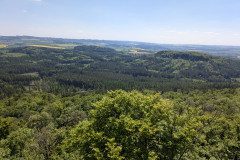 PXL_20250513_115032358