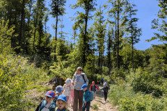 PXL_20250513_122132894
