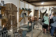 IMG_0360