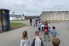 IMG_0528