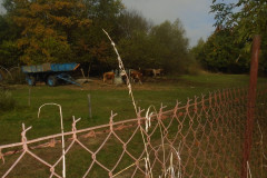 DSC06688