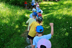 IMG-20260527-WA0008