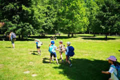 IMG-20260527-WA0017
