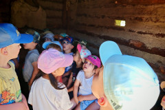 IMG-20260527-WA0061