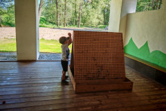 IMG-20260527-WA0094
