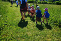 IMG-20260527-WA0114