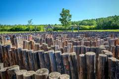 IMG-20260527-WA0118