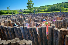 IMG-20260527-WA0119