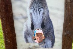 IMG-20240605-WA0000