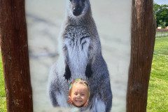 IMG-20240605-WA0006