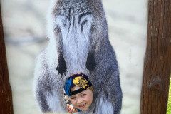 IMG-20240605-WA0009