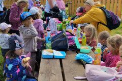 IMG_20240604_095200
