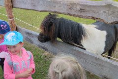 IMG_20240604_102730