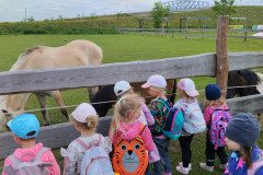 IMG_20240604_102752