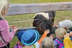 IMG_20240604_102817