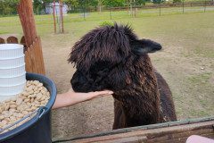 IMG_20240604_103220