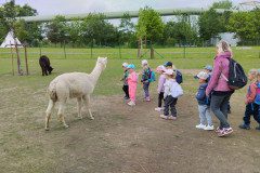 IMG_20240604_103320